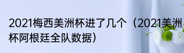 2021梅西美洲杯进了几个（2021美洲杯阿根廷全队数据）