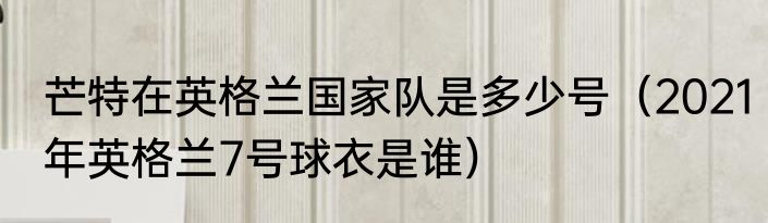 芒特在英格兰国家队是多少号（2021年英格兰7号球衣是谁）