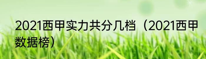 2021西甲实力共分几档（2021西甲数据榜）