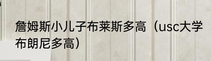 詹姆斯小儿子布莱斯多高（usc大学布朗尼多高）