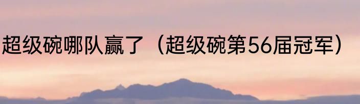 超级碗哪队赢了（超级碗第56届冠军）