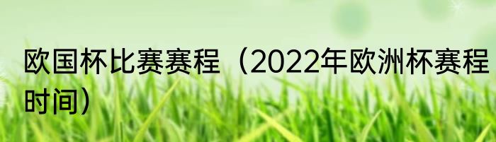 欧国杯比赛赛程（2022年欧洲杯赛程时间）