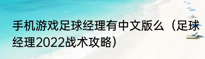 手机游戏足球经理有中文版么（足球经理2022战术攻略）
