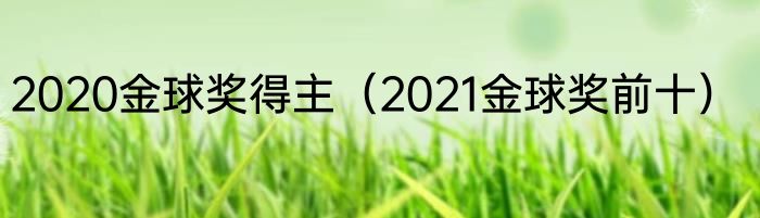 2020金球奖得主（2021金球奖前十）