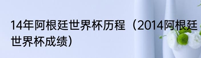 14年阿根廷世界杯历程（2014阿根廷世界杯成绩）