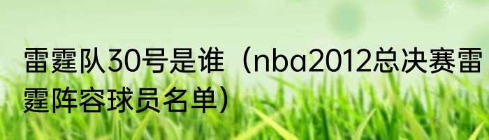 雷霆队30号是谁（nba2012总决赛雷霆阵容球员名单）