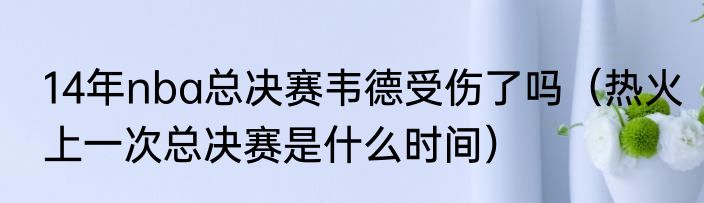 14年nba总决赛韦德受伤了吗（热火上一次总决赛是什么时间）