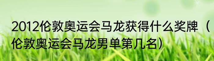 2012伦敦奥运会马龙获得什么奖牌（伦敦奥运会马龙男单第几名）