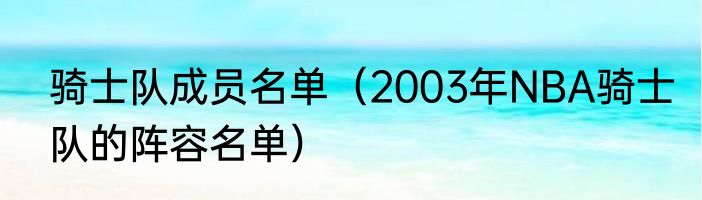 骑士队成员名单（2003年NBA骑士队的阵容名单）