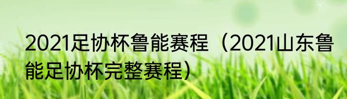 2021足协杯鲁能赛程（2021山东鲁能足协杯完整赛程）