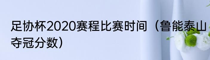 足协杯2020赛程比赛时间（鲁能泰山夺冠分数）