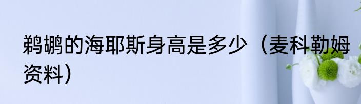 鹈鹕的海耶斯身高是多少（麦科勒姆资料）