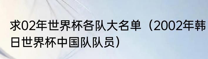 求02年世界杯各队大名单（2002年韩日世界杯中国队队员）