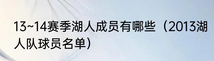 13~14赛季湖人成员有哪些（2013湖人队球员名单）