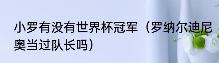 小罗有没有世界杯冠军（罗纳尔迪尼奥当过队长吗）