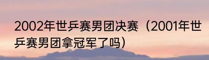 2002年世乒赛男团决赛（2001年世乒赛男团拿冠军了吗）