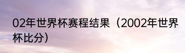 02年世界杯赛程结果（2002年世界杯比分）