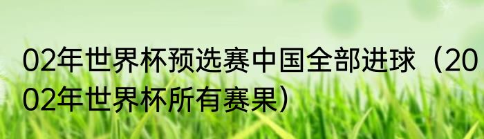 02年世界杯预选赛中国全部进球（2002年世界杯所有赛果）