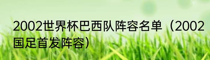 2002世界杯巴西队阵容名单（2002国足首发阵容）