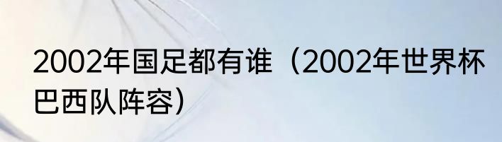 2002年国足都有谁（2002年世界杯巴西队阵容）