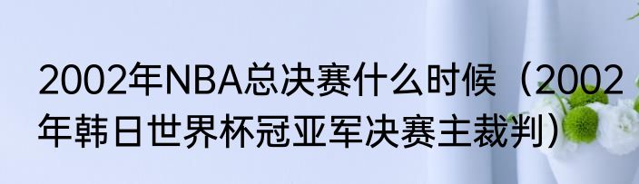 2002年NBA总决赛什么时候（2002年韩日世界杯冠亚军决赛主裁判）
