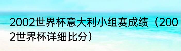 2002世界杯意大利小组赛成绩（2002世界杯详细比分）