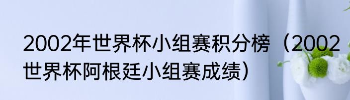 2002年世界杯小组赛积分榜（2002世界杯阿根廷小组赛成绩）