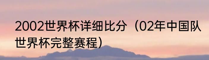 2002世界杯详细比分（02年中国队世界杯完整赛程）