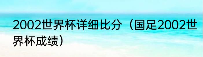 2002世界杯详细比分（国足2002世界杯成绩）
