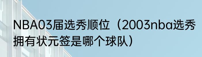 NBA03届选秀顺位（2003nba选秀拥有状元签是哪个球队）