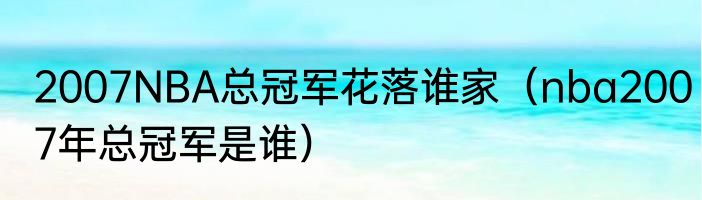 2007NBA总冠军花落谁家（nba2007年总冠军是谁）