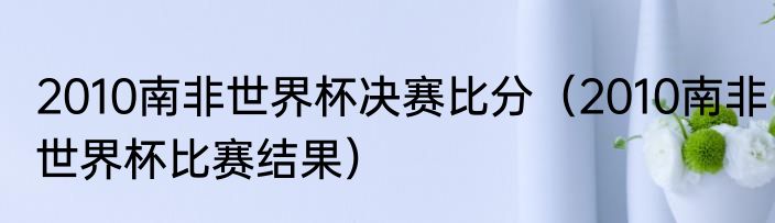 2010南非世界杯决赛比分（2010南非世界杯比赛结果）
