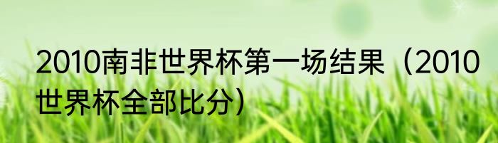 2010南非世界杯第一场结果（2010世界杯全部比分）