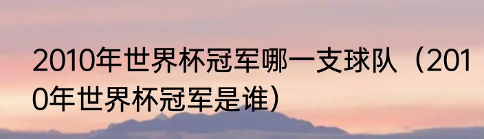 2010年世界杯冠军哪一支球队（2010年世界杯冠军是谁）