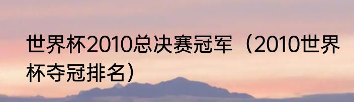 世界杯2010总决赛冠军（2010世界杯夺冠排名）