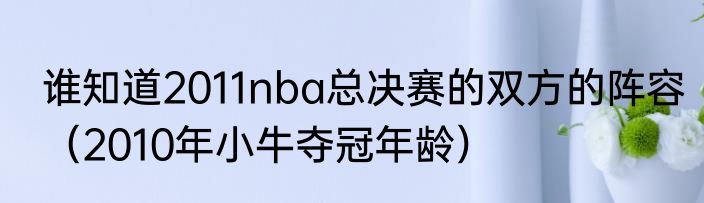 谁知道2011nba总决赛的双方的阵容（2010年小牛夺冠年龄）