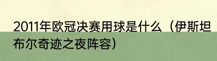 2011年欧冠决赛用球是什么（伊斯坦布尔奇迹之夜阵容）