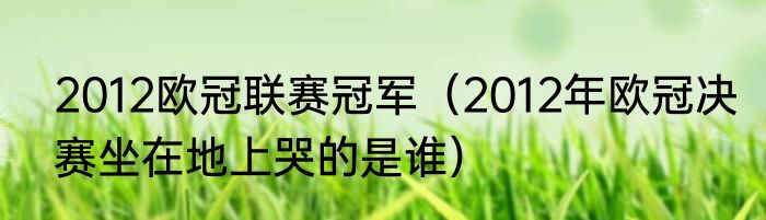 2012欧冠联赛冠军（2012年欧冠决赛坐在地上哭的是谁）