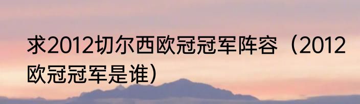 求2012切尔西欧冠冠军阵容（2012欧冠冠军是谁）