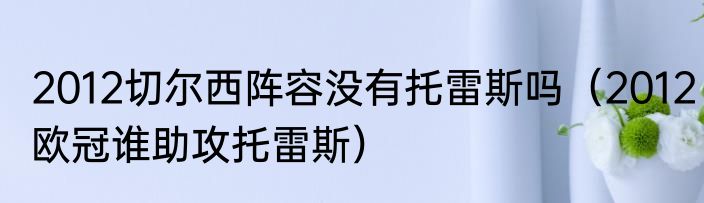 2012切尔西阵容没有托雷斯吗（2012欧冠谁助攻托雷斯）