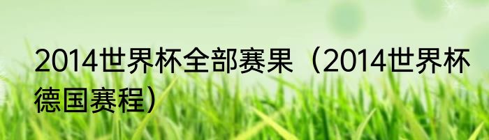 2014世界杯全部赛果（2014世界杯德国赛程）