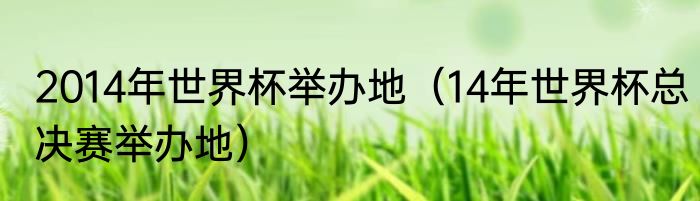 2014年世界杯举办地（14年世界杯总决赛举办地）