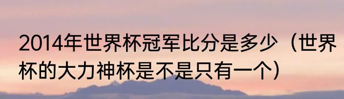 2014年世界杯冠军比分是多少（世界杯的大力神杯是不是只有一个）