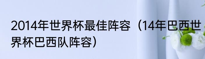2014年世界杯最佳阵容（14年巴西世界杯巴西队阵容）