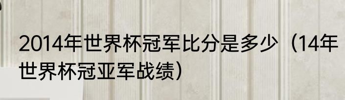 2014年世界杯冠军比分是多少（14年世界杯冠亚军战绩）