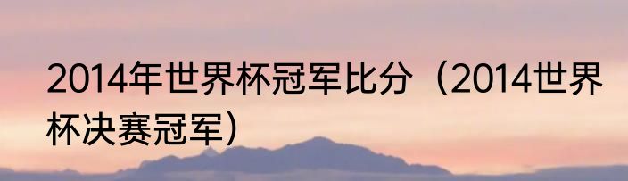 2014年世界杯冠军比分（2014世界杯决赛冠军）