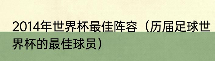 2014年世界杯最佳阵容（历届足球世界杯的最佳球员）