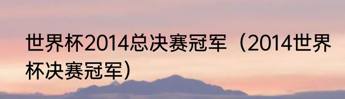 世界杯2014总决赛冠军（2014世界杯决赛冠军）