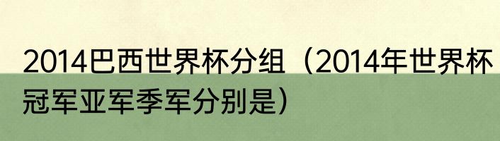 2014巴西世界杯分组（2014年世界杯冠军亚军季军分别是）