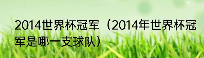 2014世界杯冠军（2014年世界杯冠军是哪一支球队）